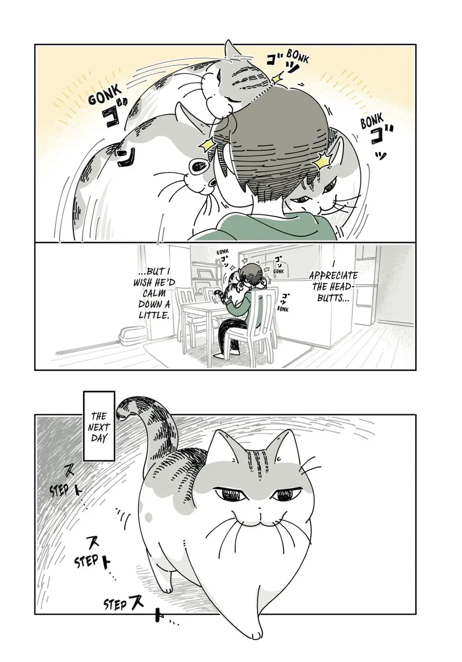 Read Nights With a Cat chapter 186 image 1 on Lezhin