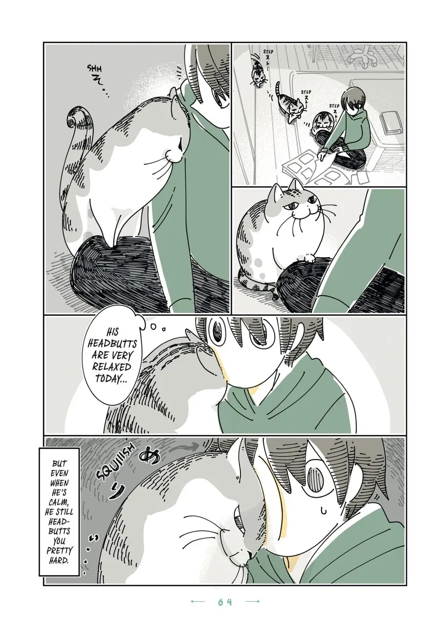 Read Nights With a Cat chapter 186 image 2 on Lezhin