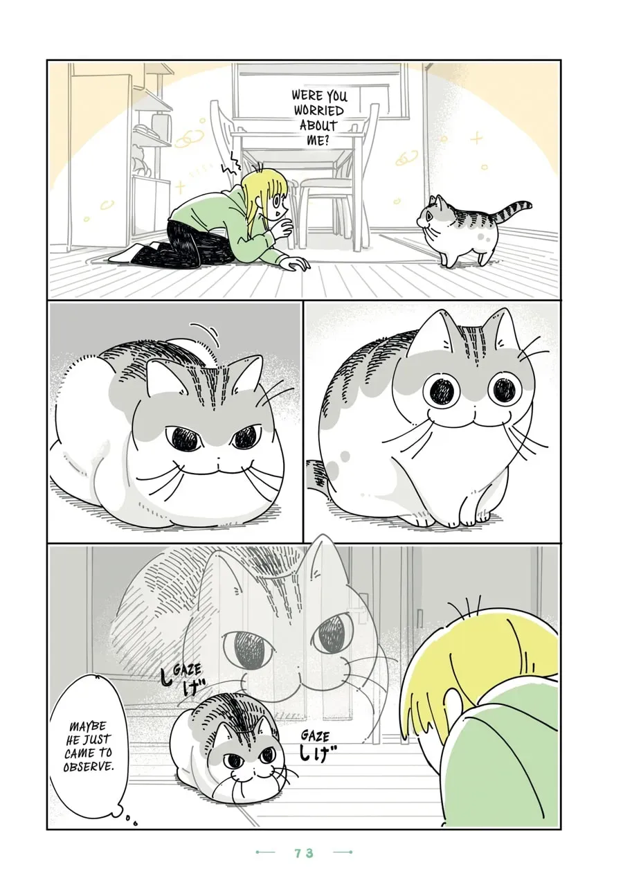 Read Nights With a Cat chapter 189 image 2 on Lezhin