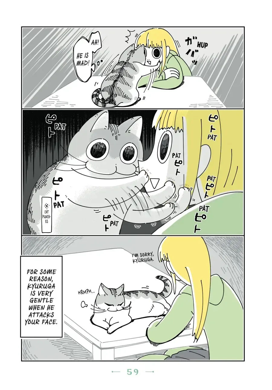 Read Nights With a Cat chapter 19.1 image 2 on Lezhin