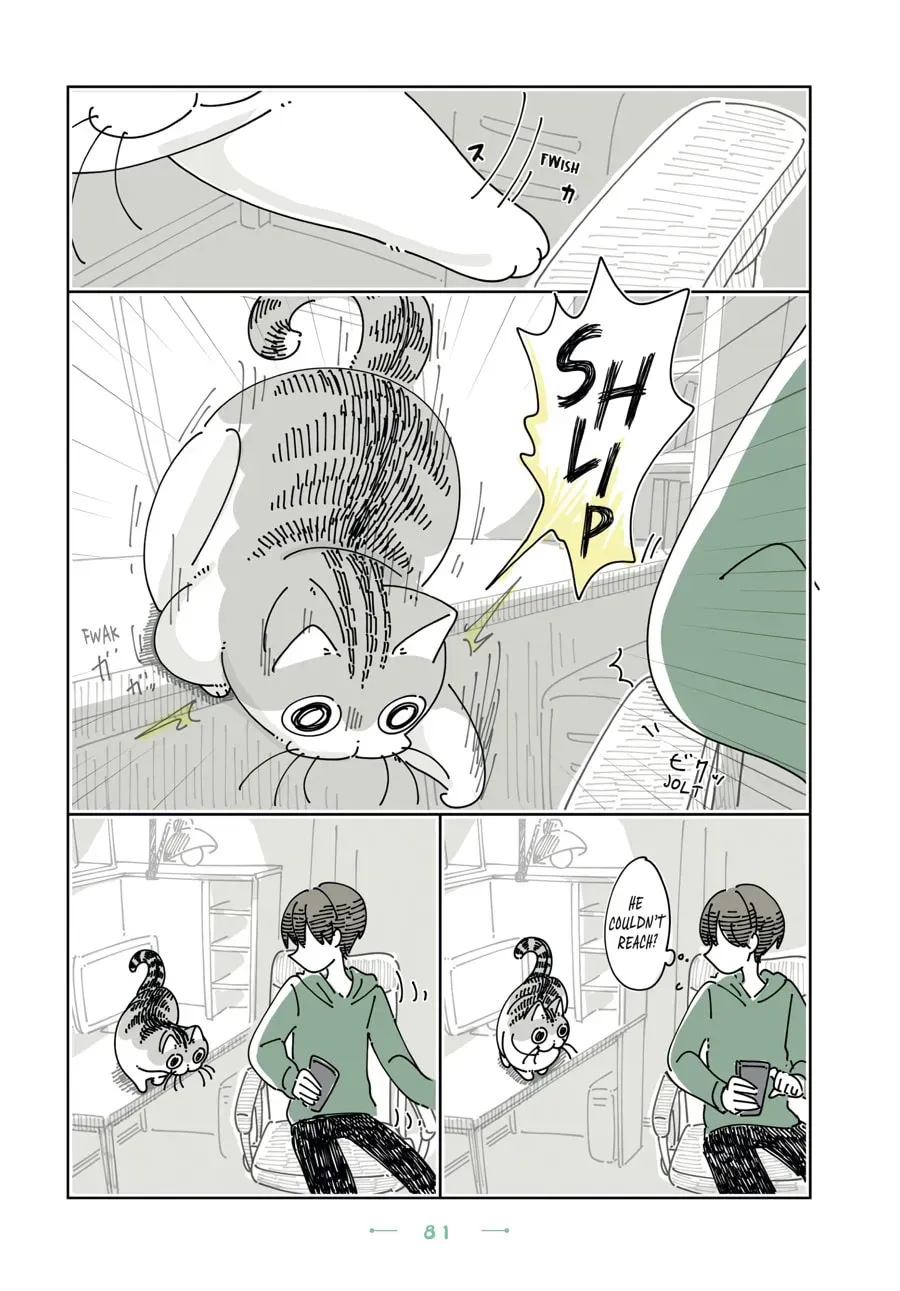 Read Nights With a Cat chapter 192 image 1 on Lezhin