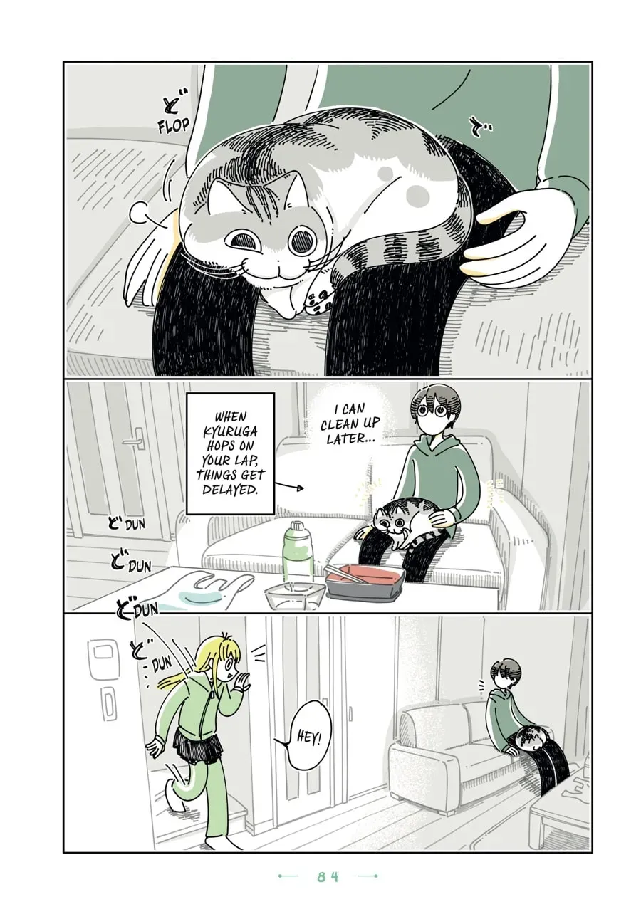 Read Nights With a Cat chapter 193 image 1 on Lezhin