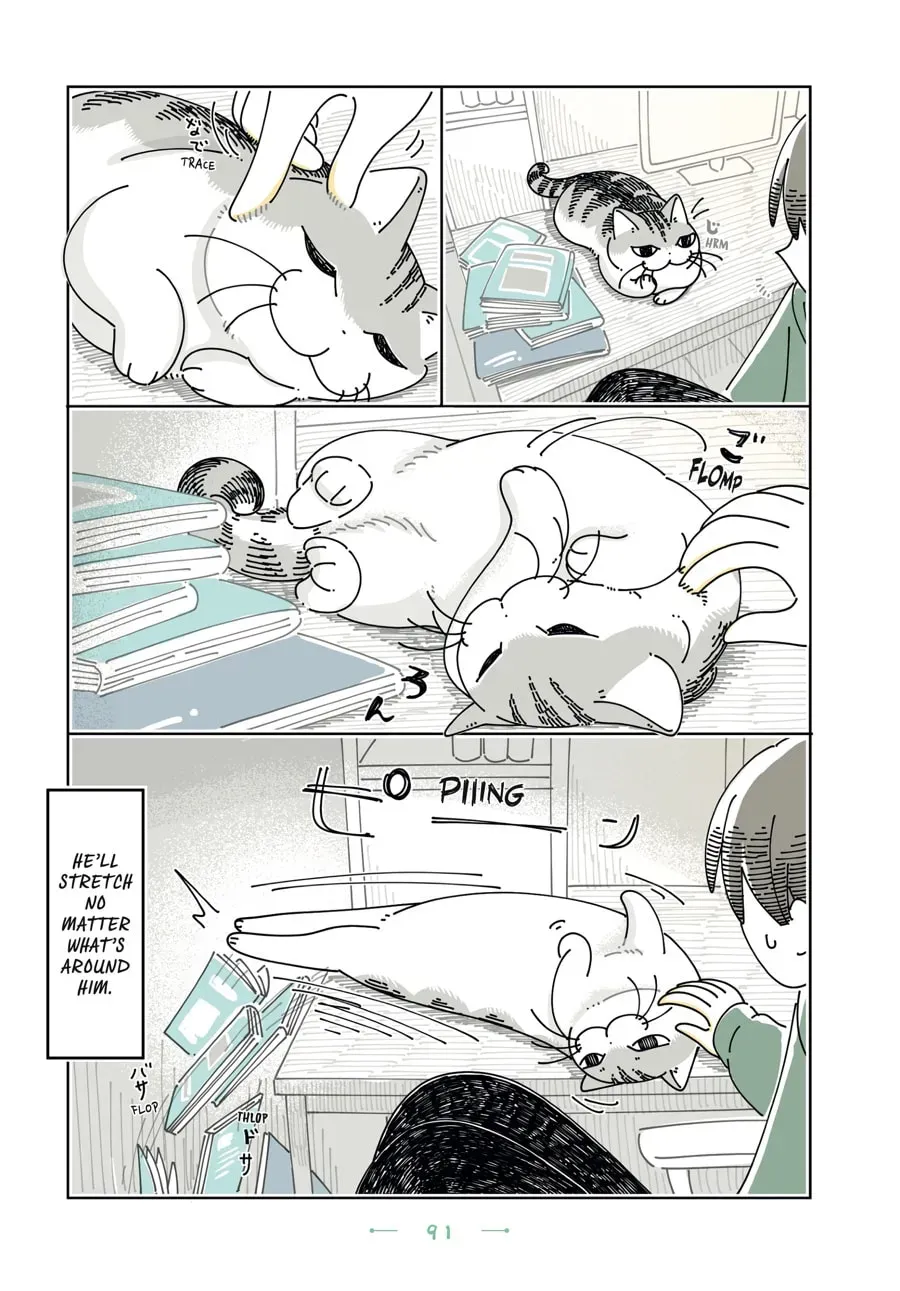 Read Nights With a Cat chapter 195 image 2 on Lezhin
