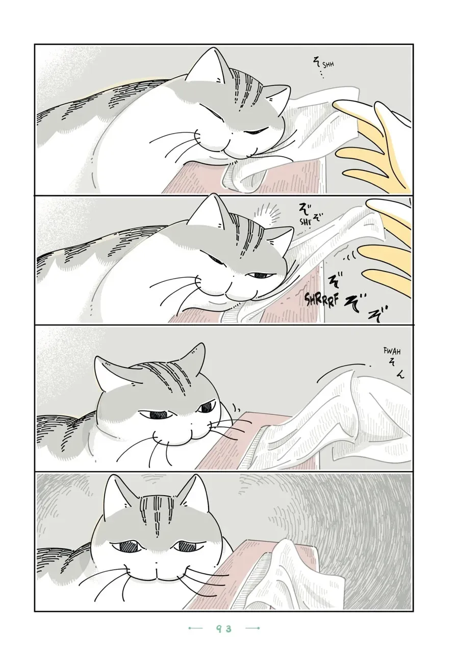 Read Nights With a Cat chapter 196 image 1 on Lezhin
