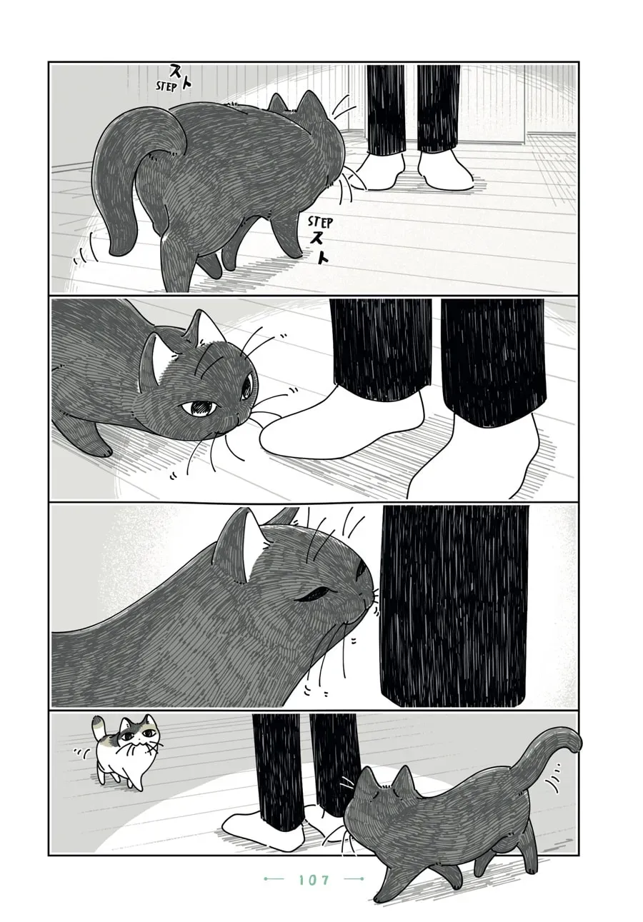 Read Nights With a Cat chapter 197 image 11 on Lezhin