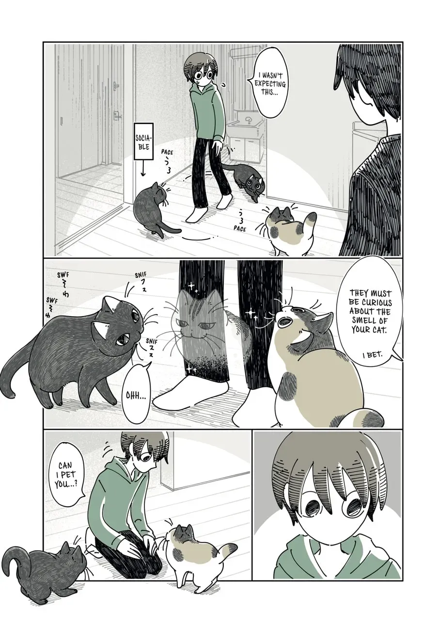 Read Nights With a Cat chapter 197 image 12 on Lezhin