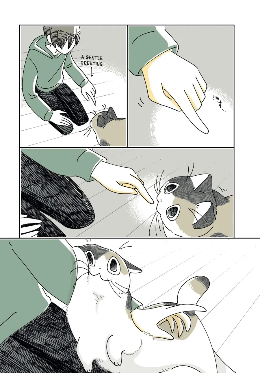 Read Nights With a Cat chapter 197 image 13 on Lezhin