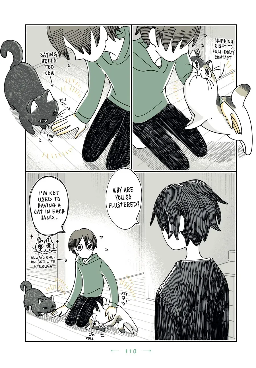 Read Nights With a Cat chapter 197 image 14 on Lezhin