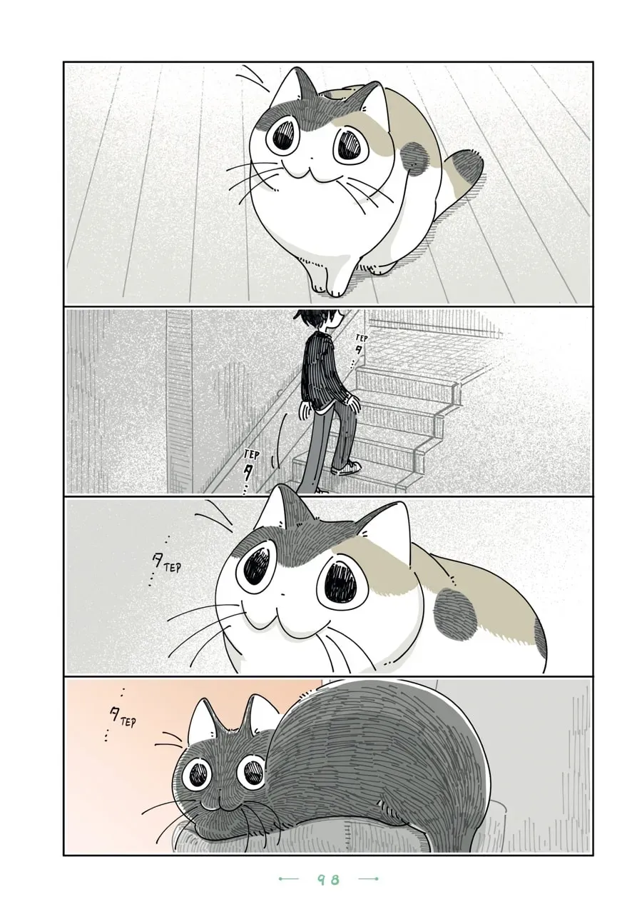 Read Nights With a Cat chapter 197 image 2 on Lezhin
