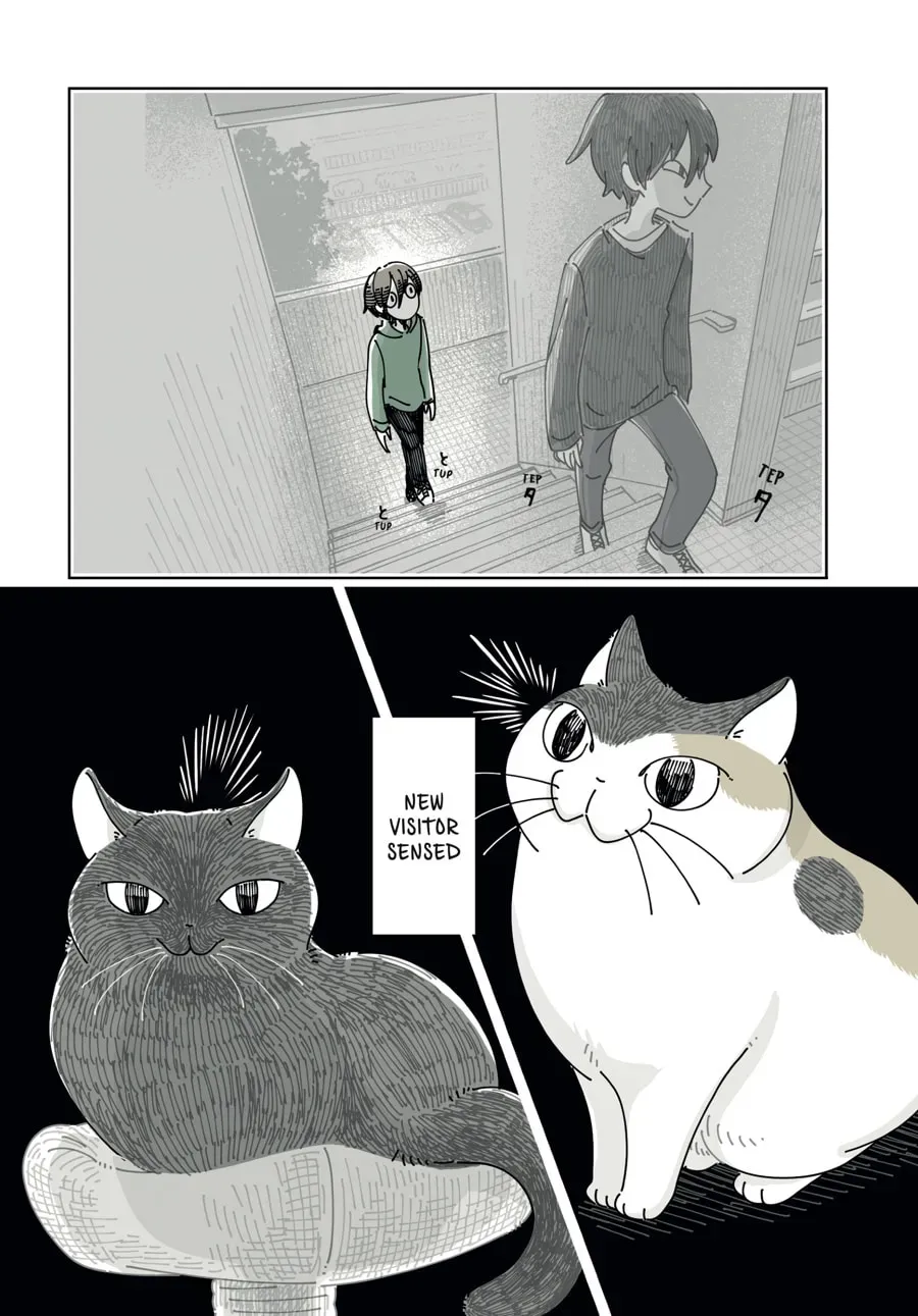 Read Nights With a Cat chapter 197 image 3 on Lezhin