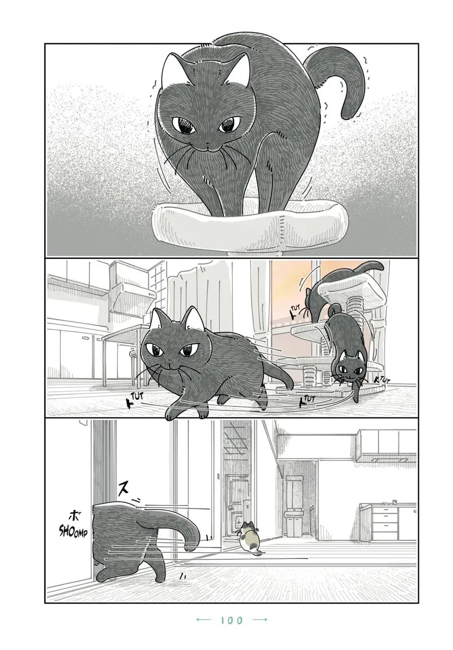 Read Nights With a Cat chapter 197 image 4 on Lezhin