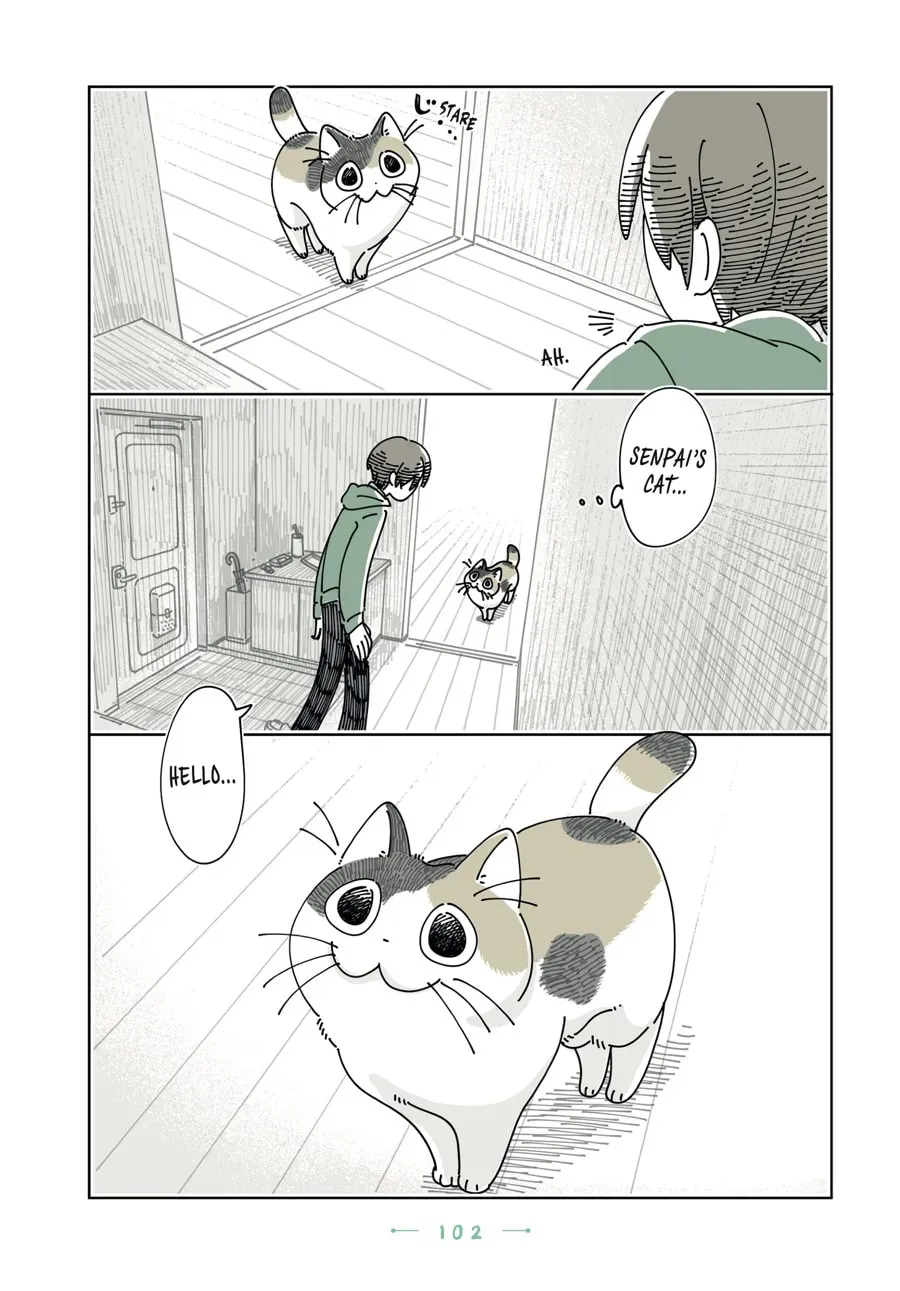 Read Nights With a Cat chapter 197 image 6 on Lezhin