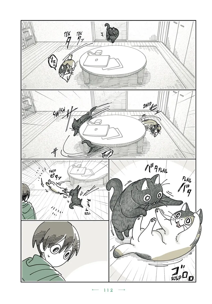 Read Nights With a Cat chapter 198 image 1 on Lezhin