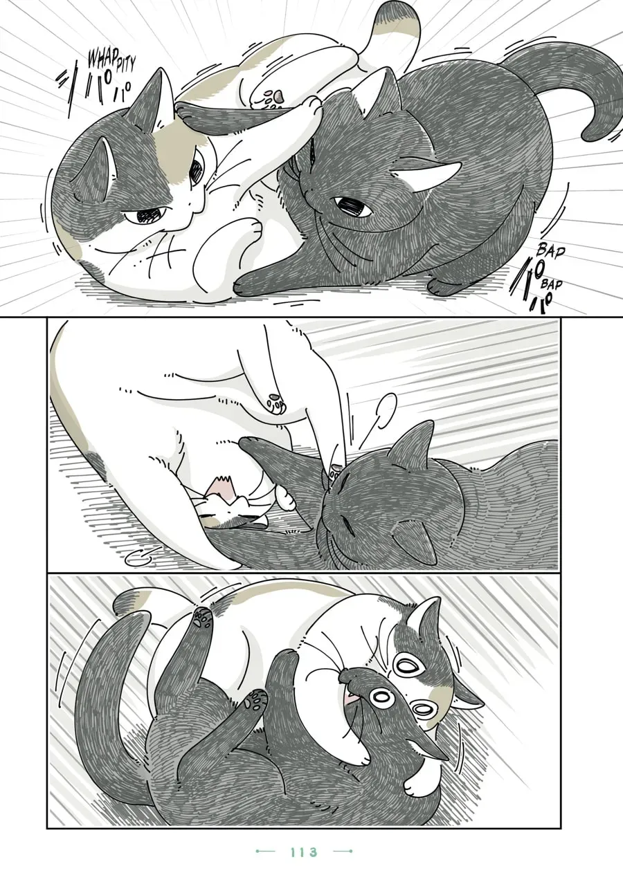Read Nights With a Cat chapter 198 image 2 on Lezhin
