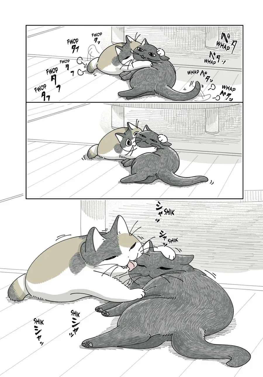 Read Nights With a Cat chapter 198 image 3 on Lezhin