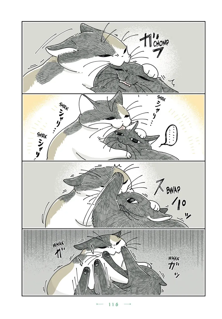 Read Nights With a Cat chapter 198 image 5 on Lezhin