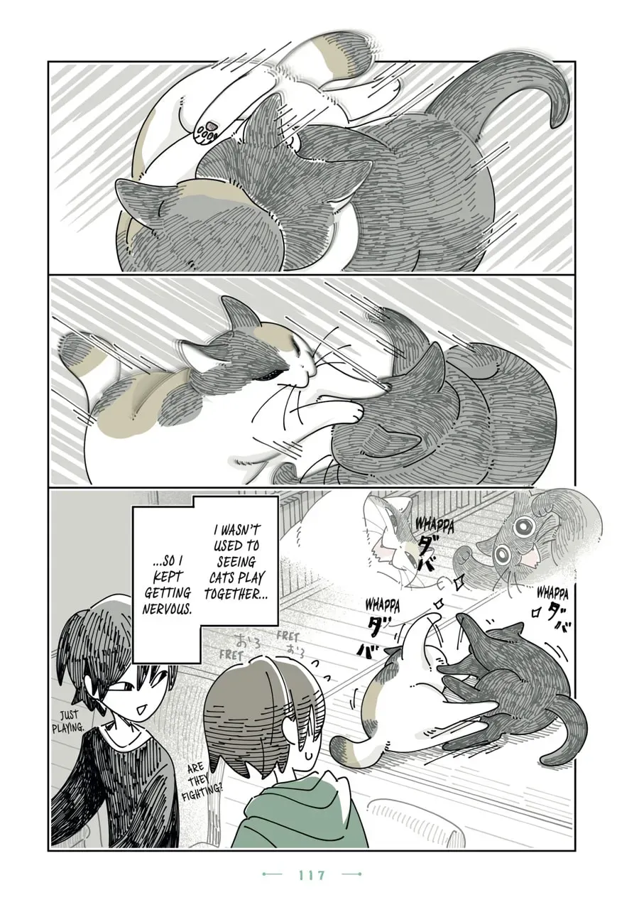 Read Nights With a Cat chapter 198 image 6 on Lezhin