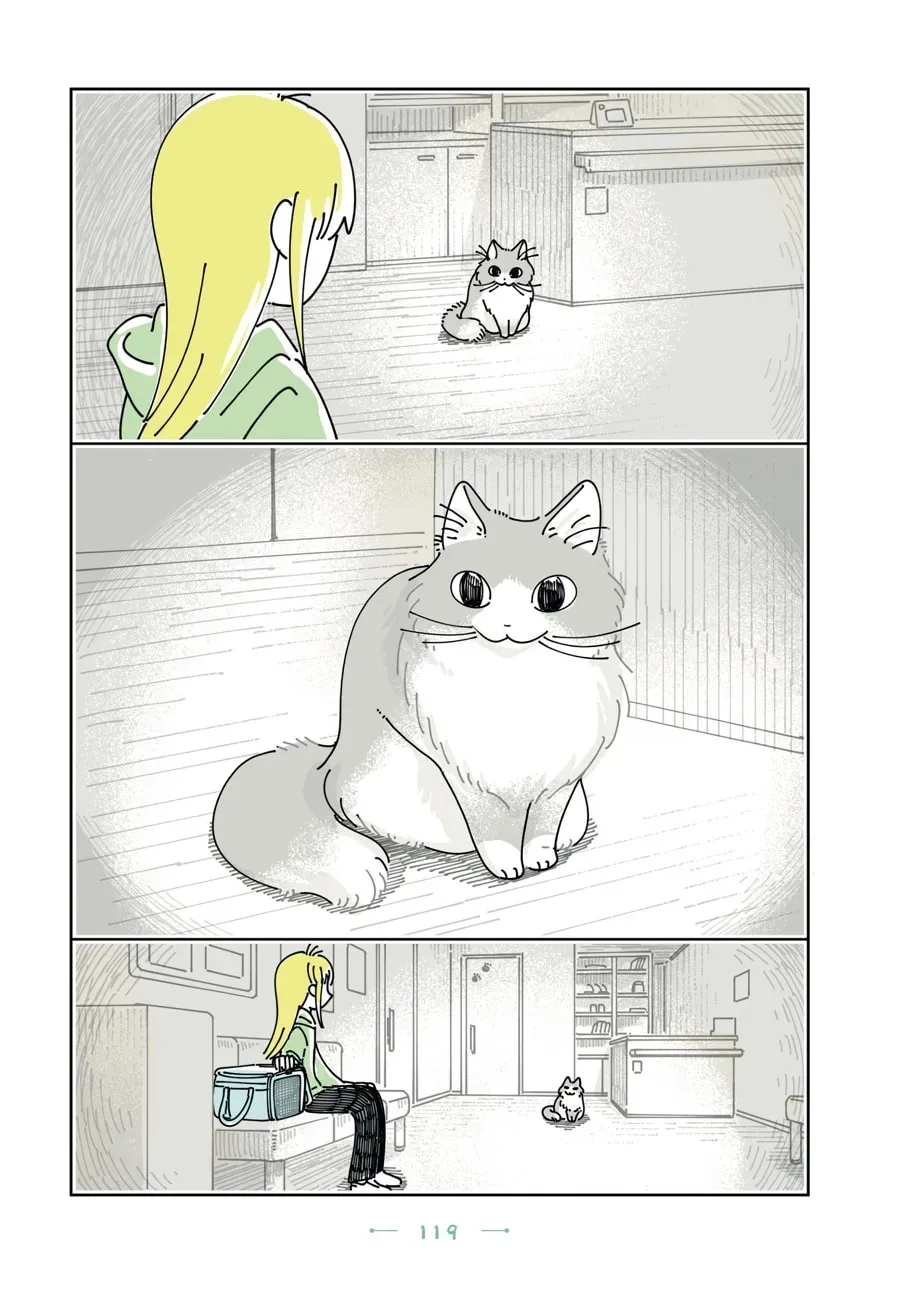 Read Nights With a Cat chapter 199 image 1 on Lezhin
