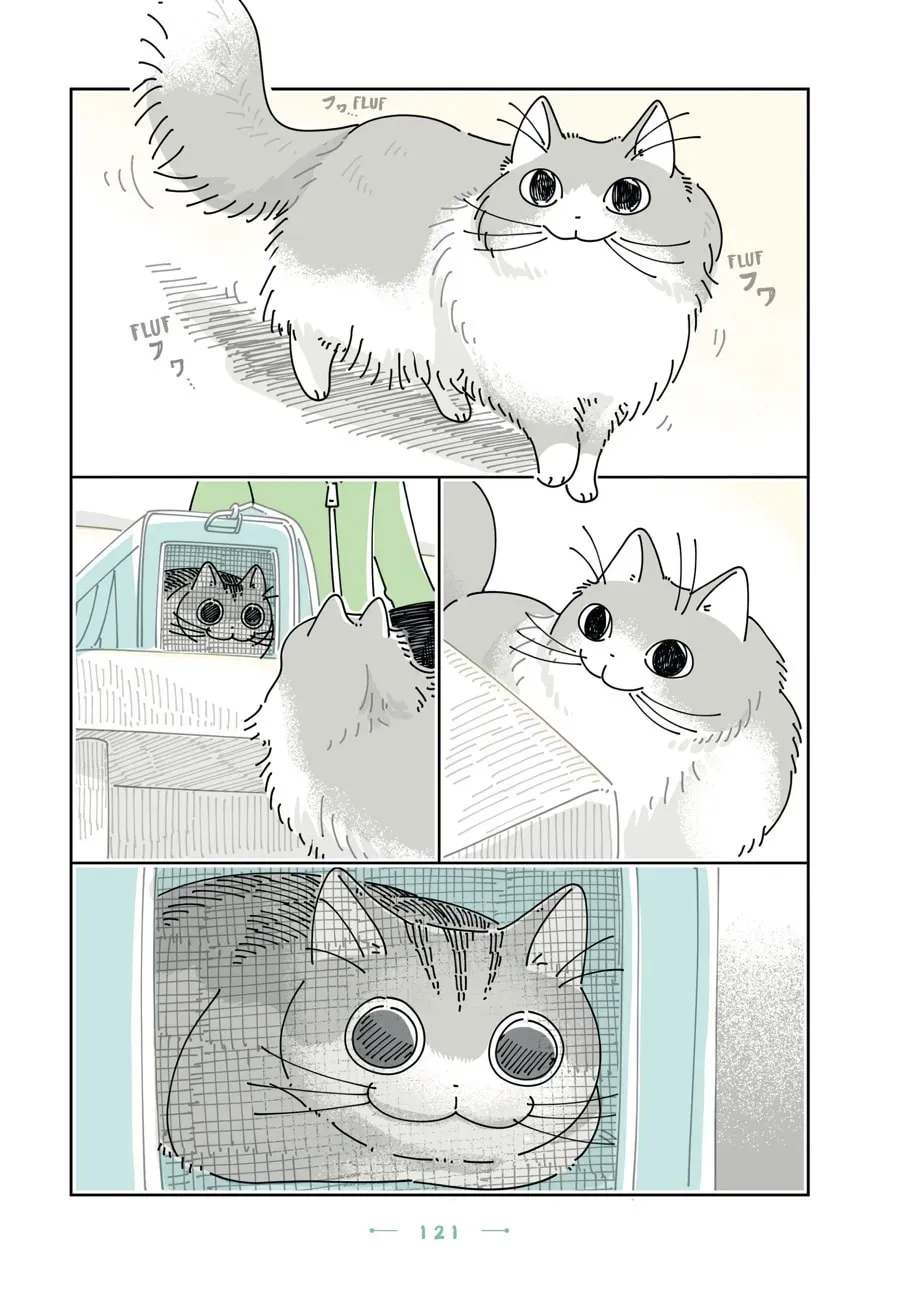 Read Nights With a Cat chapter 199 image 3 on Lezhin