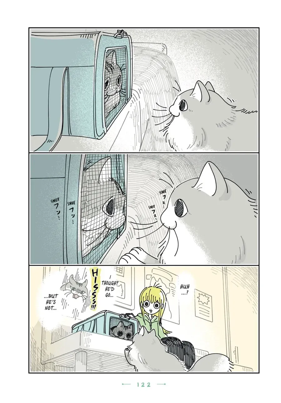 Read Nights With a Cat chapter 199 image 4 on Lezhin
