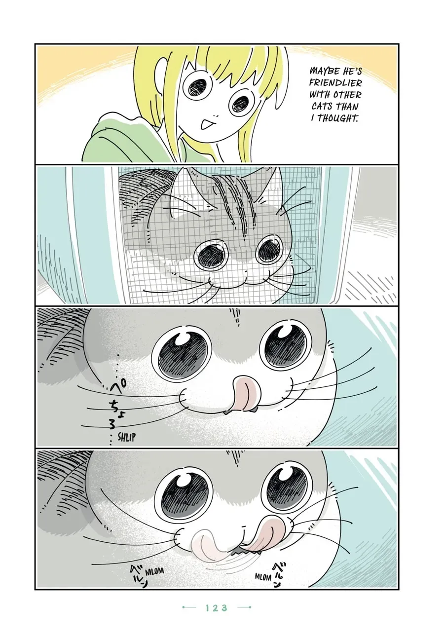 Read Nights With a Cat chapter 199 image 5 on Lezhin