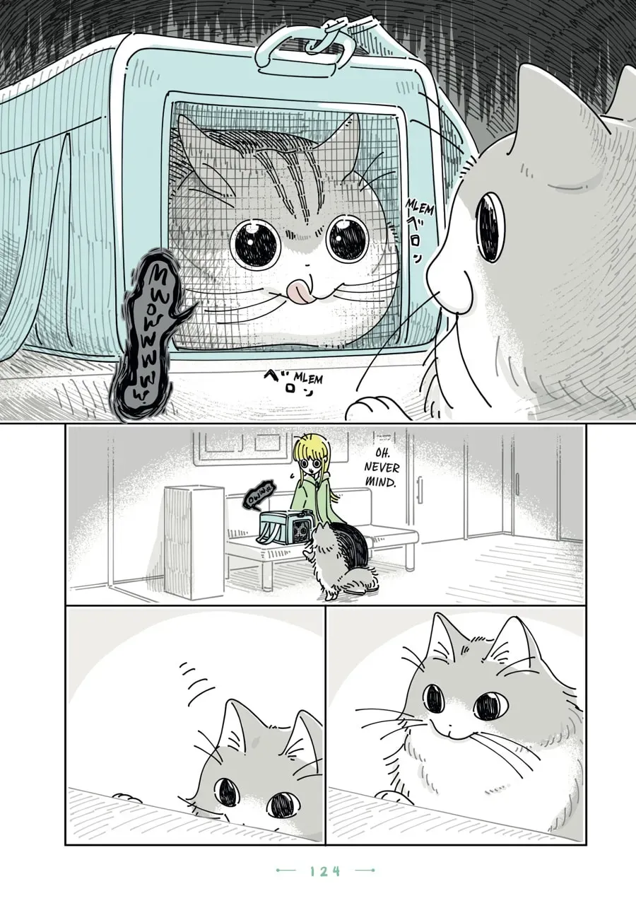 Read Nights With a Cat chapter 199 image 6 on Lezhin