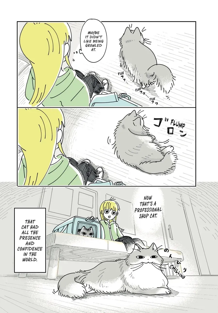 Read Nights With a Cat chapter 199 image 7 on Lezhin