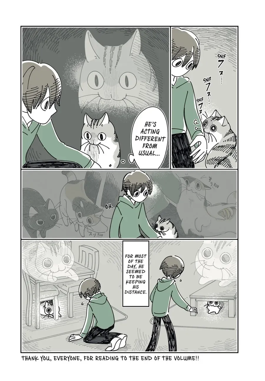 Read Nights With a Cat chapter 199 image 9 on Lezhin