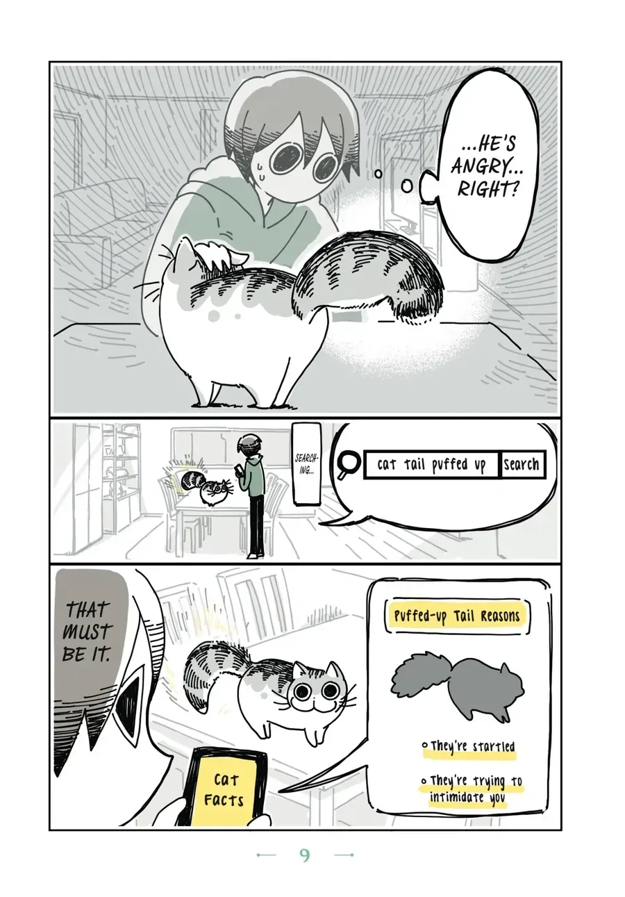 Read Nights With a Cat chapter 2.1 image 1 on Lezhin