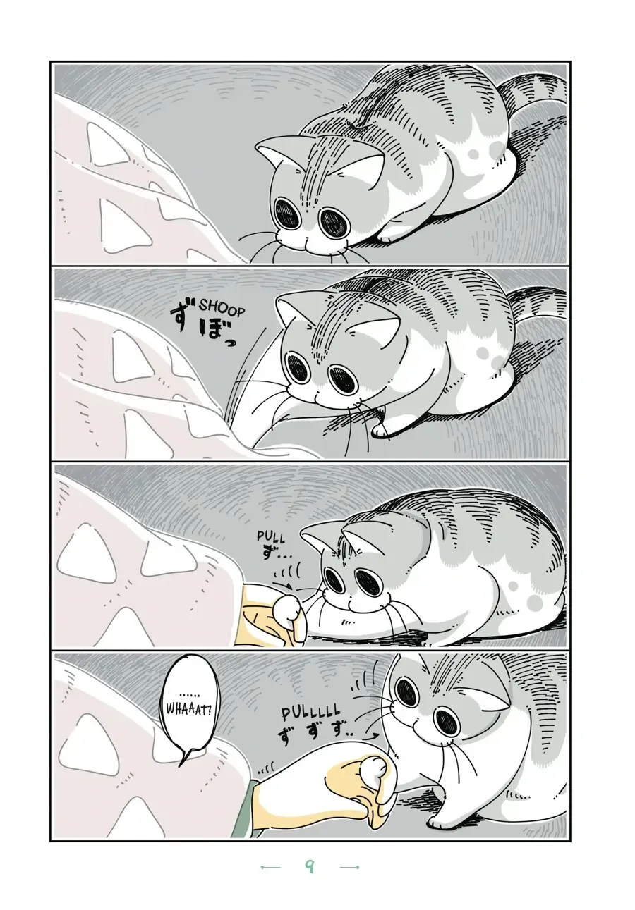 Read Nights With a Cat chapter 2.2 image 1 on Lezhin