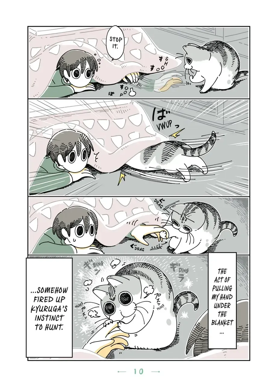 Read Nights With a Cat chapter 2.2 image 2 on Lezhin