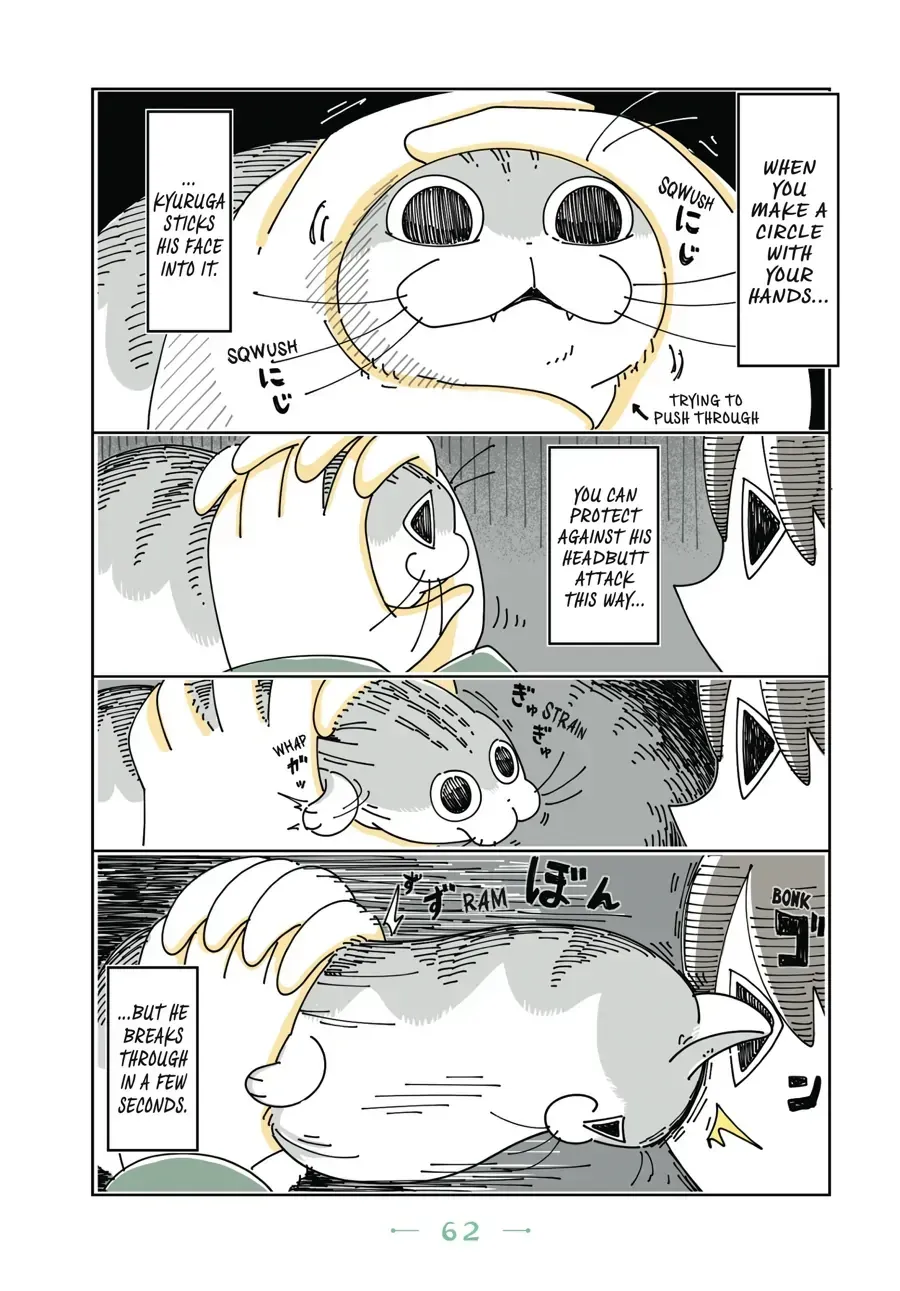 Read Nights With a Cat chapter 20.1 image 2 on Lezhin