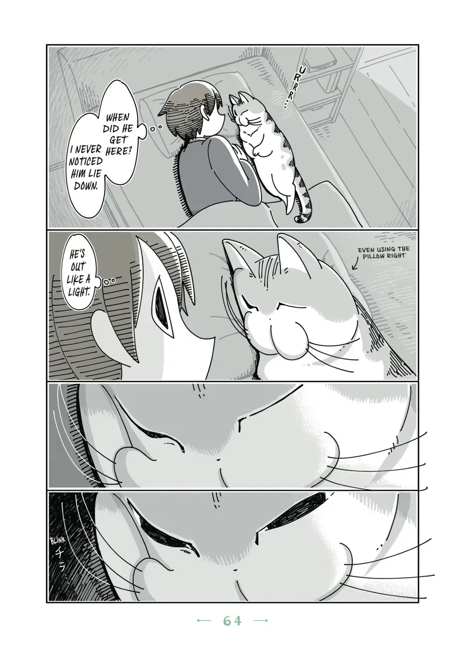 Read Nights With a Cat chapter 21.1 image 1 on Lezhin