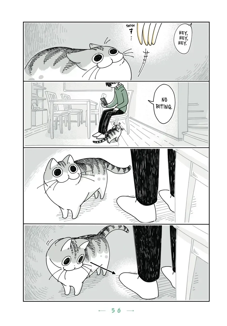 Read Nights With a Cat chapter 21.2 image 1 on Lezhin