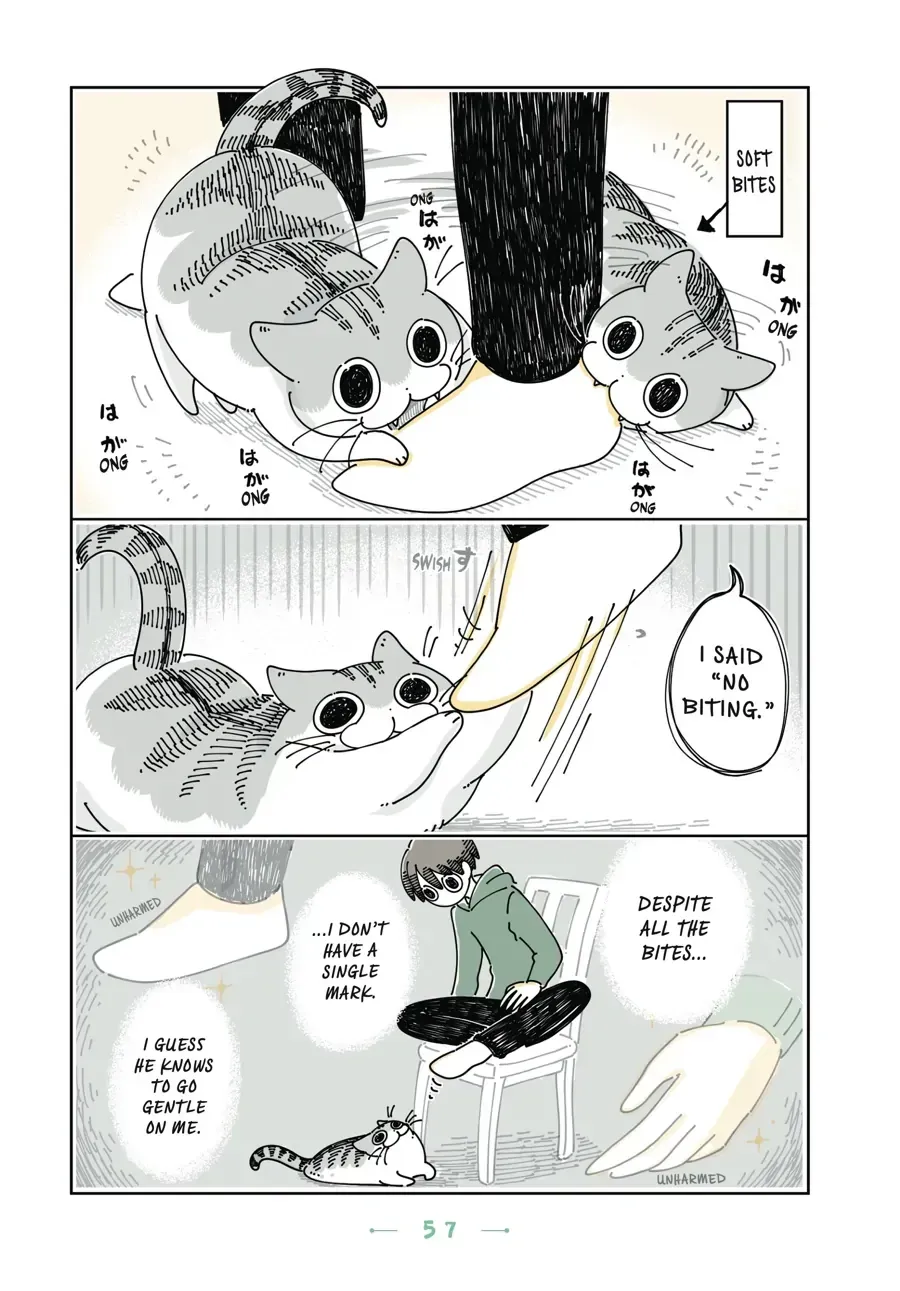 Read Nights With a Cat chapter 21.2 image 2 on Lezhin