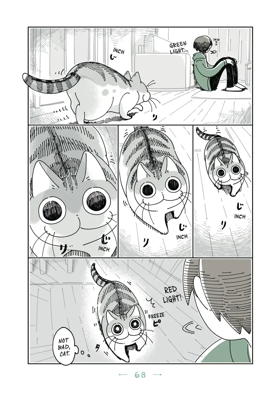 Read Nights With a Cat chapter 22.1 image 2 on Lezhin