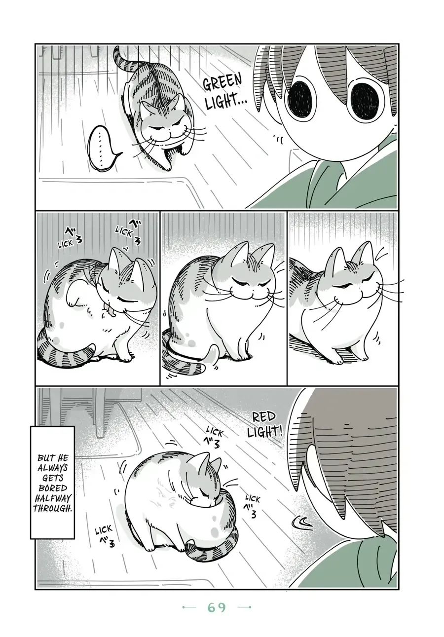 Read Nights With a Cat chapter 22.1 image 3 on Lezhin