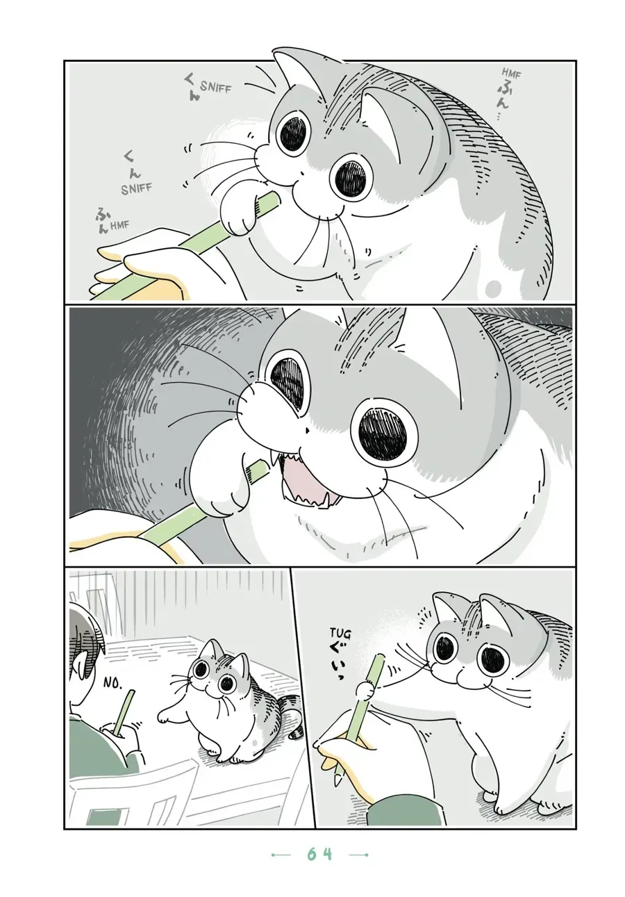 Read Nights With a Cat chapter 23.2 image 1 on Lezhin