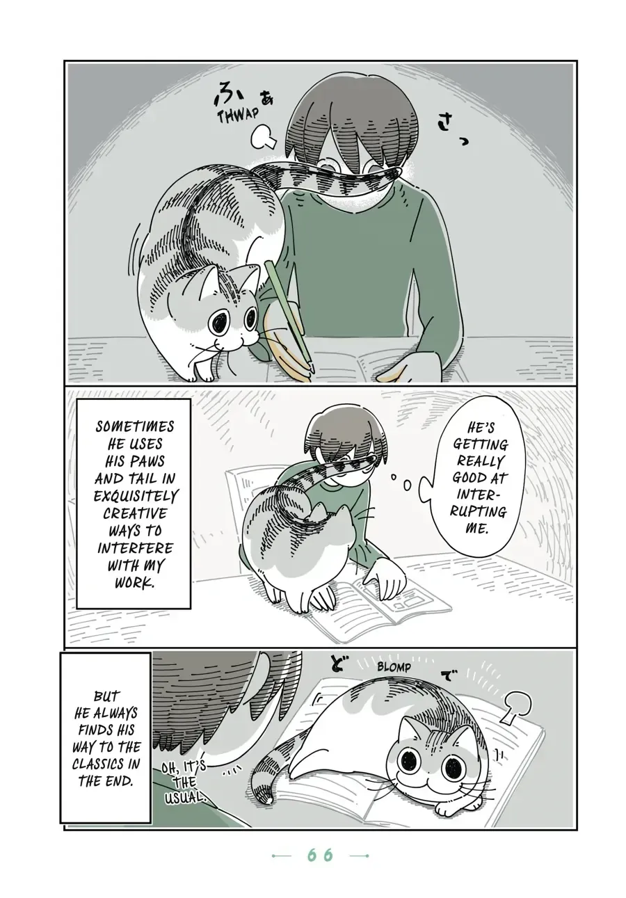 Read Nights With a Cat chapter 23.2 image 3 on Lezhin
