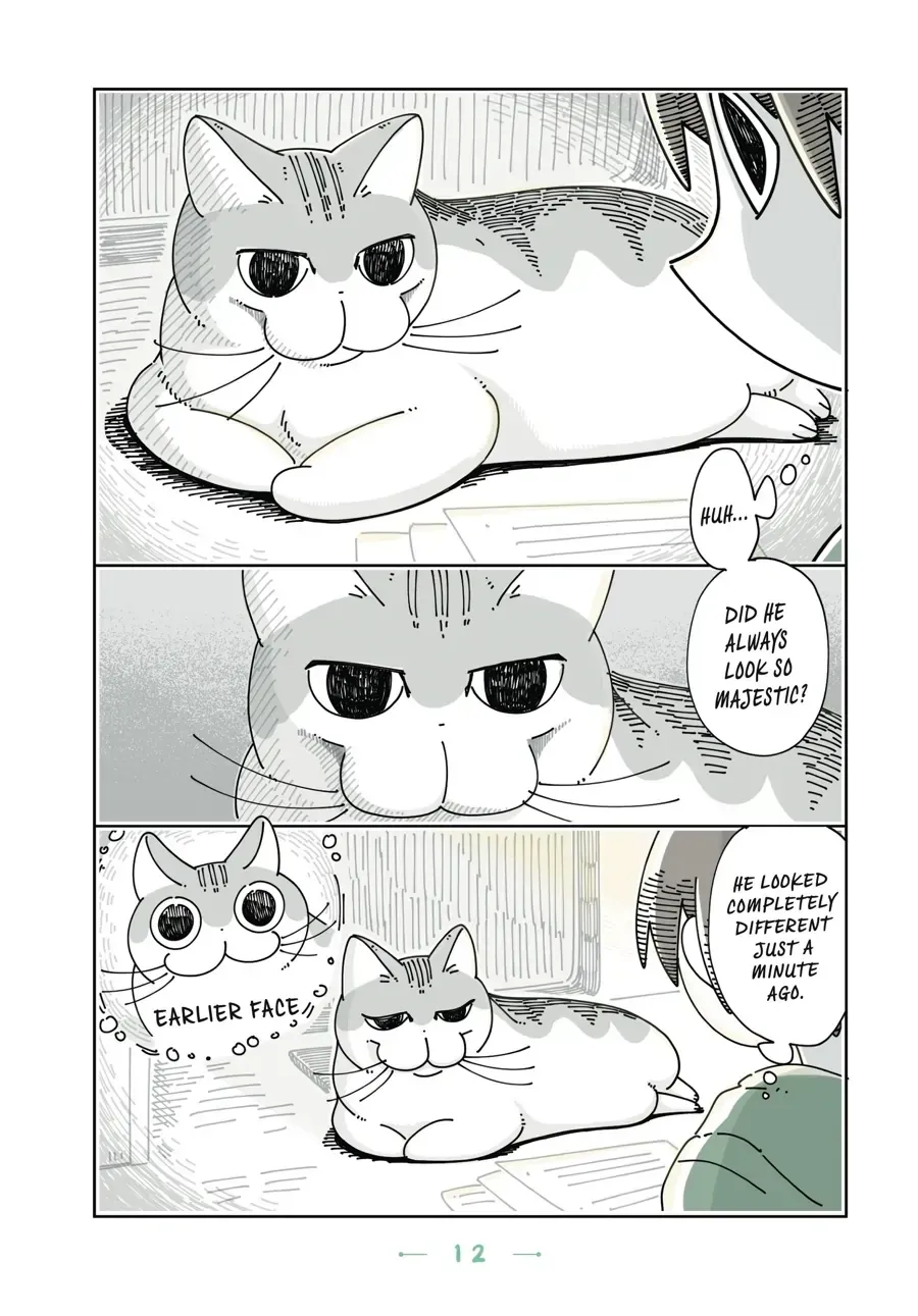 Read Nights With a Cat chapter 3.2 image 1 on Lezhin