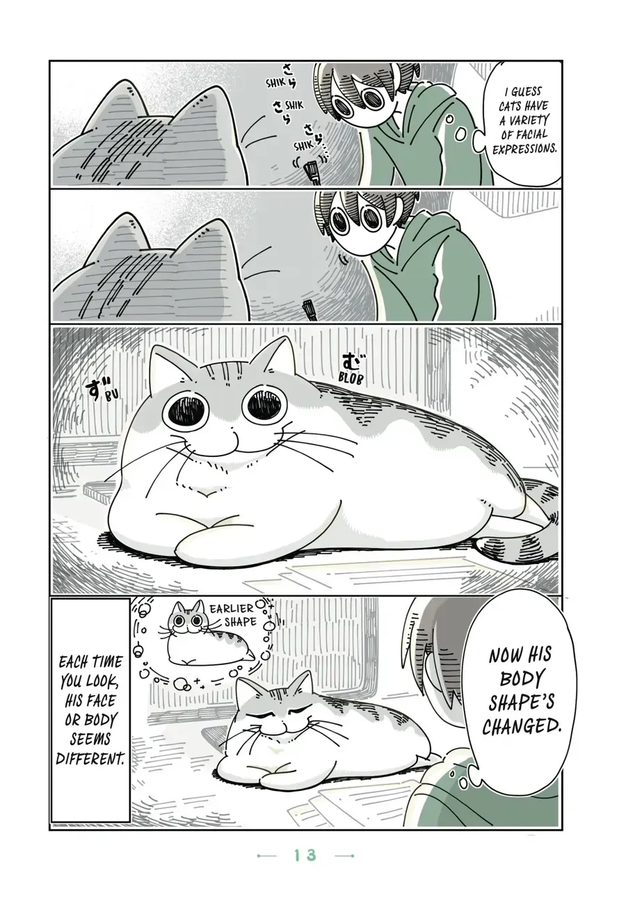 Read Nights With a Cat chapter 3.2 image 2 on Lezhin