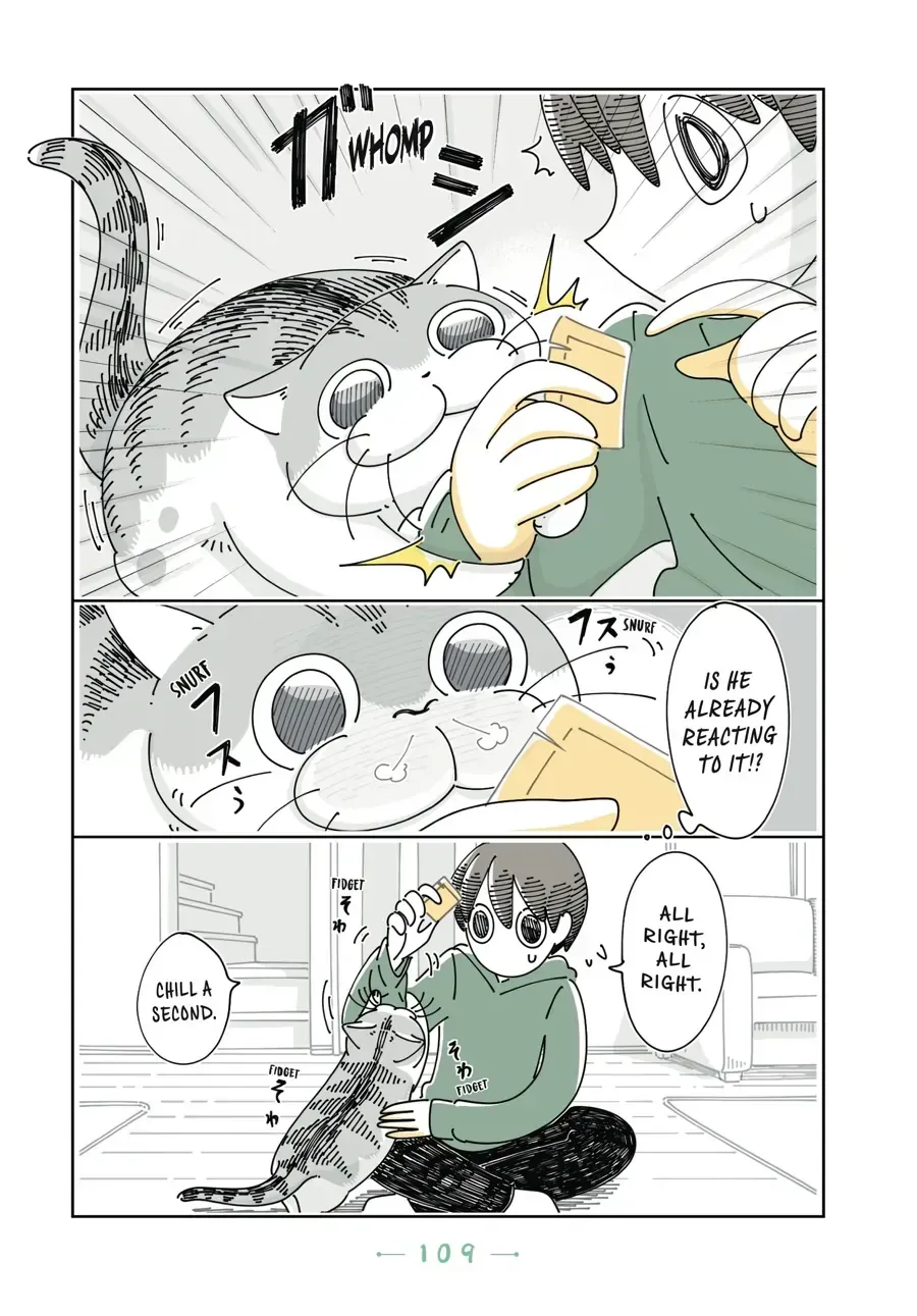 Read Nights With a Cat chapter 32.1 image 1 on Lezhin