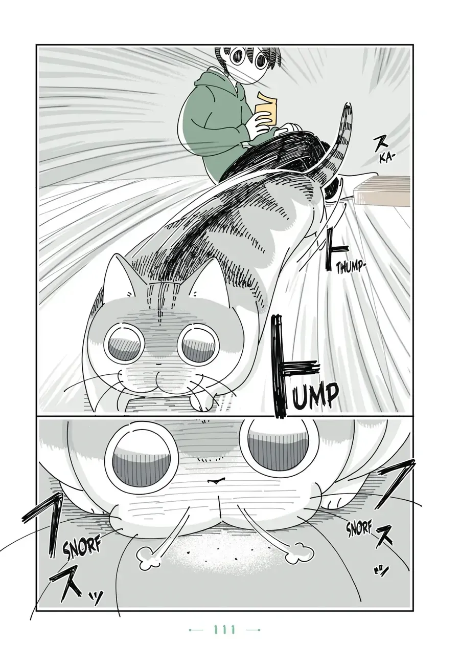 Read Nights With a Cat chapter 32.1 image 3 on Lezhin
