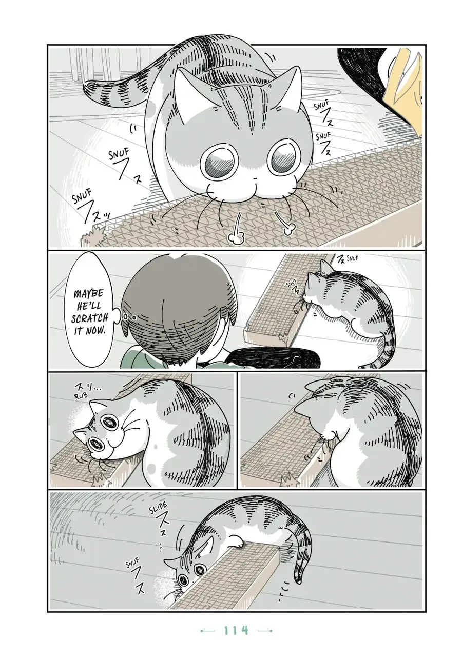 Read Nights With a Cat chapter 32.1 image 6 on Lezhin