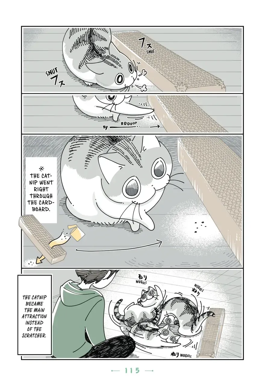 Read Nights With a Cat chapter 32.1 image 7 on Lezhin