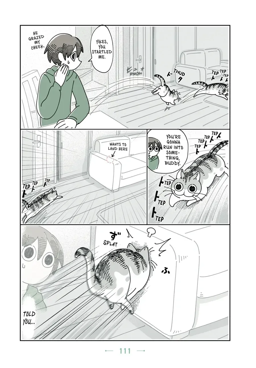 Read Nights With a Cat chapter 32 image 3 on Lezhin