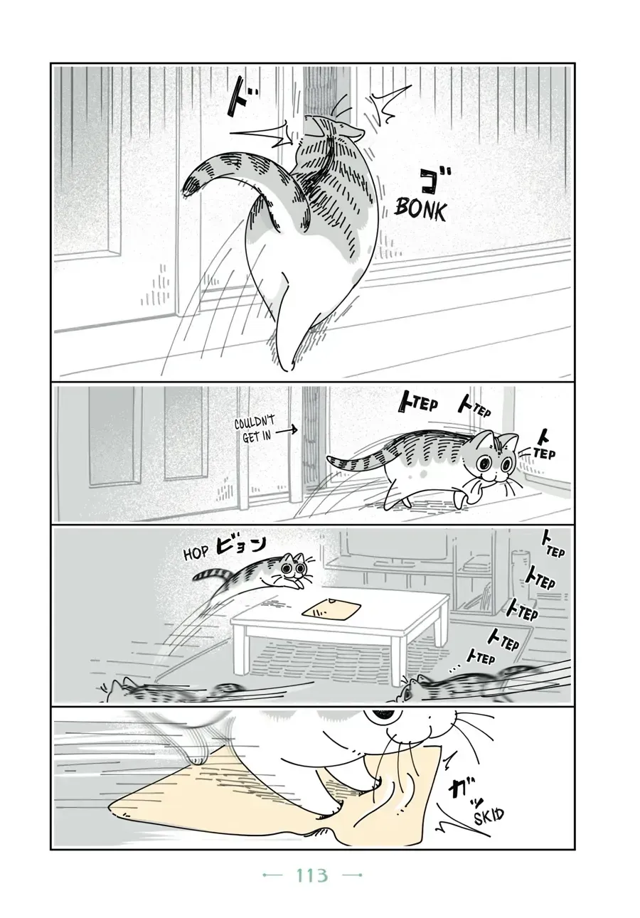 Read Nights With a Cat chapter 32 image 5 on Lezhin
