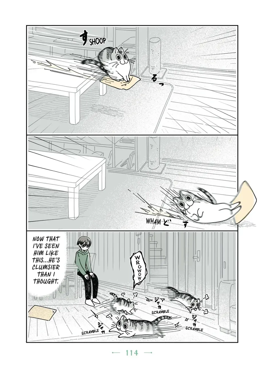 Read Nights With a Cat chapter 32 image 6 on Lezhin