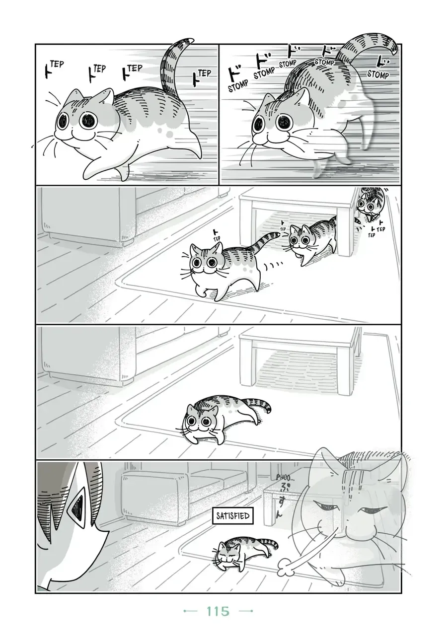 Read Nights With a Cat chapter 32 image 7 on Lezhin