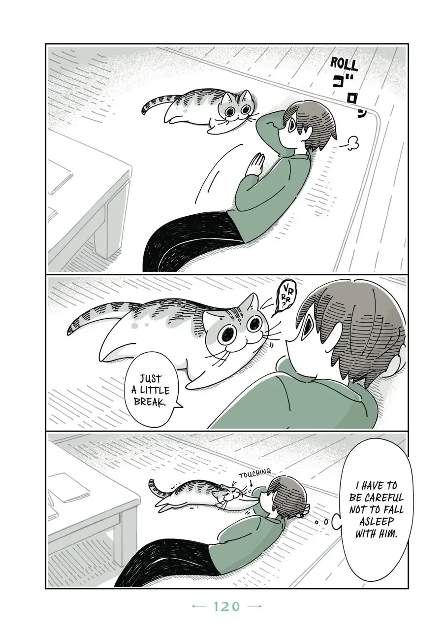 Read Nights With a Cat chapter 33 image 3 on Lezhin
